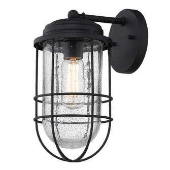 Golden Lighting Seaport 1-light 6in Outdoor Wall in Natural Black (36|9808-OWM NB-SD)