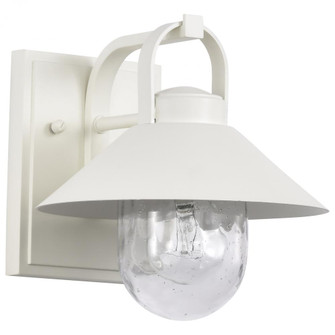 Ridge; Small Outdoor Lantern; White Finish; Clear Seeded Glass (81|60/8520)