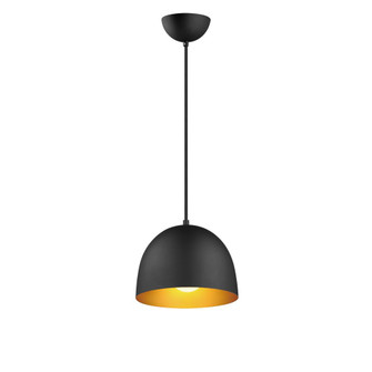 Tova-Single Pendant (19|11482BKGLD)