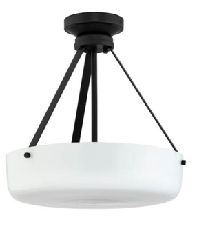 P500507-031 2-L PENDANT CONV. (149|P500507-031)