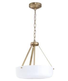 P500507-177 2-L PENDANT CONV. (149|P500507-177)