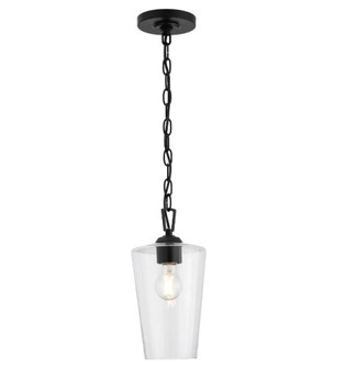 P500506-031 1-L PENDANT (149|P500506-031)