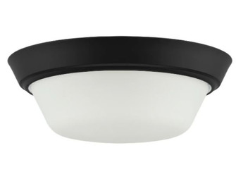 P350303-031 2-L 13IN FLUSHMOUNT (149|P350303-031)