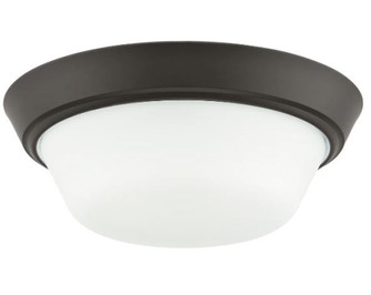 P350303-020 2-L 13IN FLUSHMOUNT (149|P350303-020)