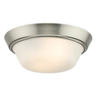 P350303-009 2-L 13IN FLUSHMOUNT (149|P350303-009)