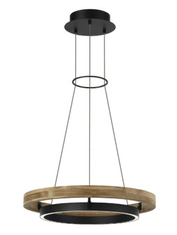 Grace 24 Outdoor Chandelier (7355|SLOCH77630TXBTK)