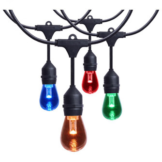 24 Foot LED String Light; 12-S14 Lamps; Medium Base; RGBTW; Infrared Remote; Black; 120 Volt (27|S8031R1)