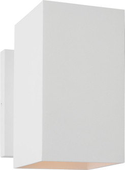 POHL SS 1L MD LANTERN OTW (7725|SLO1121OTWE)
