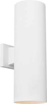 6IN CYLINDER SS 2L LANTERN OTW (7725|SLO1172OTWE)