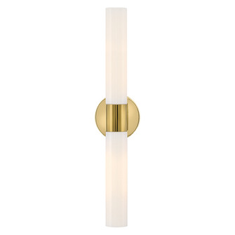 Large Two Light Vanity (1118101|85402BBR-CO)