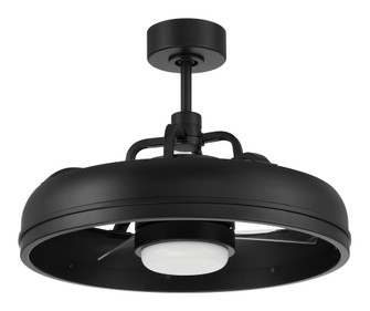 Taylor 20'' 3-Blade Indoor/Outdoor (Damp) Ceiling Fan in Flat Black w/ Clear Acrylic Blades; Ligh (20|TYL24FB3-NWF)