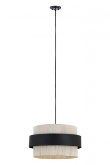 Parker - 1 Light - 21 inch - Matte Black - Pendant (3442|675-1P-BK-20NT)