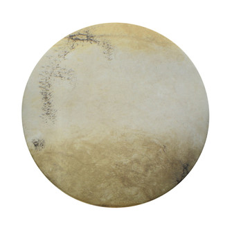 Large 16'' Round Backlit ADA Color Temperature Selectable LED Wall Sconce (254|CER-5107-TRAG)