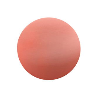 Medium 13'' Round Backlit ADA Color Temperature Selectable LED Wall Sconce (254|CER-5105-BSH)