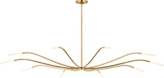 Lajos 67 Chandelier (7355|SLCH81927HABEG)