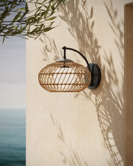 Carriage Outdoor Wall Sconce (92|5500-0060)