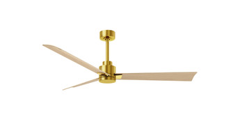 Alessandra - 56'' Three Blade Transitional Ceiling Fan - Brushed Brass Finish - Light Maple Blade (230|AK-BRBR-LM-56)