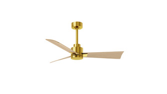 Alessandra - 42'' Three Blade Transitional Ceiling Fan - Brushed Brass Finish - Light Maple Blade (230|AK-BRBR-LM-42)