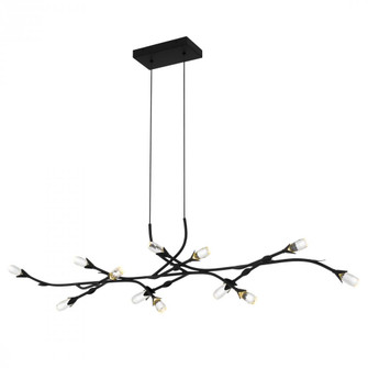 Cora Island Chandelier (26|PCCOR1250MBK)