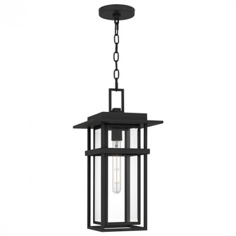 Morgan 1-Light Earth Black Outdoor Hanging Lantern (26|MORG1910EK)