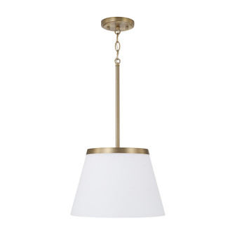 1 Light Pendant (42|361011AD)