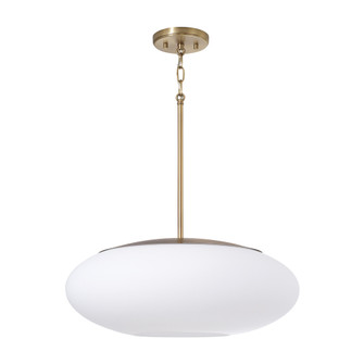 1 Light Pendant (42|360511AD)