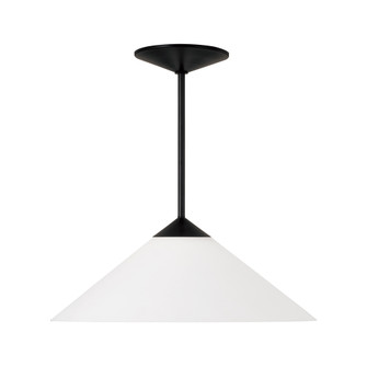 1 Light Pendant (42|359111MB)