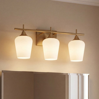 Octave 3-Light Bathroom Vanity Light in Warm Brass (128|8-6030-3-322)