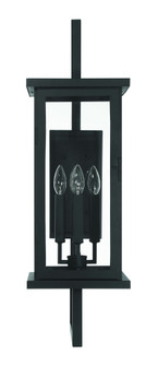 Jordan 32.5'' 4 Light Outdoor Wall Lantern in Textured Black (20|ZA8020-TB)