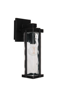 Pyrmont 1 Light Small Outdoor Wall Lantern in Midnight with Clear Hammered Glass (20|Z2604-MN)