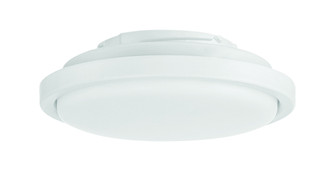 Phoebe LED Light Kit in White (For use with PHB52xxx3) (20|PHB52LK-W-LED)