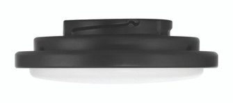 Phoebe LED Light Kit in Flat Black (For use with PHB52xxx3) (20|PHB52LK-FB-LED)