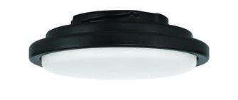 Phoebe LED Light Kit in Flat Black (For use with PHB52xxx3) (20|PHB52LK-FB-LED)