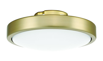 Frazier LED Light Kit in Satin Brass (For FRZ56xxx3 Ceiling Fan) (20|FRZ56LK-SB-LED)