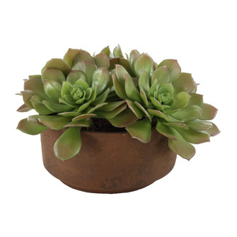 Uttermost Sable Succulent Accent In Pot (85|60267)