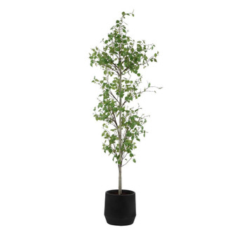 Uttermost Boreal Potted Birch Tree (85|60263)