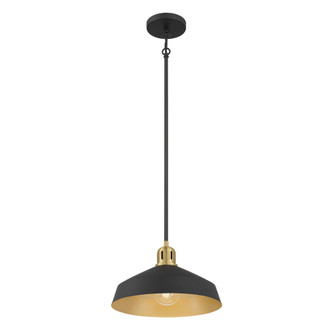 Axlen 12'' Wide 1-Light Pendant (670|9941-MB/VB)