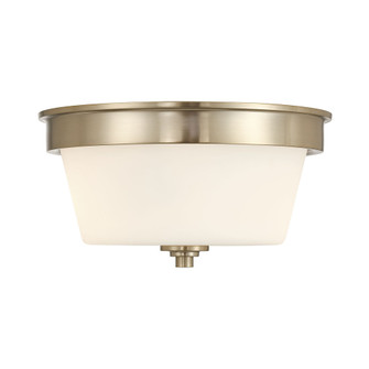 Strayhan 13'' Wide 2-Light Flush Mount (670|64102WG-MG)