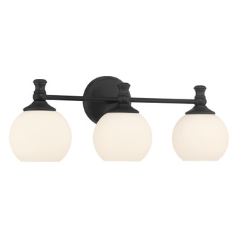 Orlisse 23.5'' Wide 3-Light Vanity (670|201103-MB)