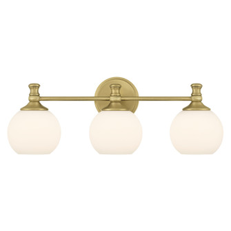 Orlisse 23.5'' Wide 3-Light Vanity (670|201103-VB)