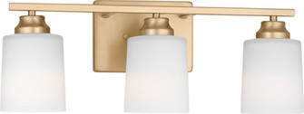 Vinton Three Light Wall/Bath Sconce (38|4420903-848)