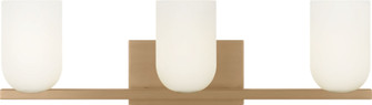 Neblina Three Light Vanity (38|GLV1973SB)