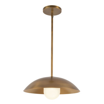 Umbra 14-in Brass Pendant (461|PD10814-VB/OP)