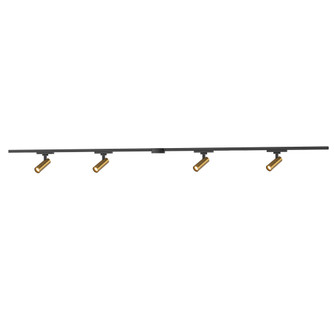 Paolo 4 Light (1-in) Brushed Gold dimmable 4000K LED Trilo Track Ceiling Kit (461|TR4C4-S25914-BG)