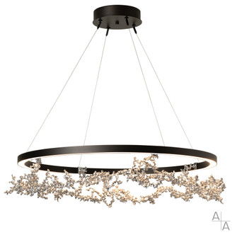 Coral LED Ring Pendant (65|401330-LED-STND-07-86)