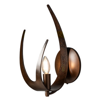 Caribou 1-Light Sconce (65|204072-SKT-LFT-20)
