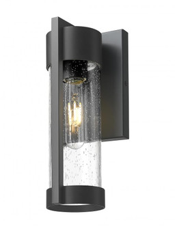 Stratford - 1 Light - 10 inch - Matte Black - Coastal Outdoor Sconce (3442|9954-1W-BK-10-SDY)