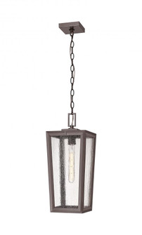 Madison - 1 Light - 8 inch - Bronze - Coastal Outdoor Pendant (3442|9952-1H-BZ-20-SDY)
