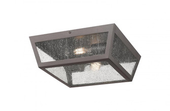 Madison - 2 Light - 12 inch - Bronze - Coastal Outdoor Flush Mount (3442|9952-1F-BZ-12-SDY)