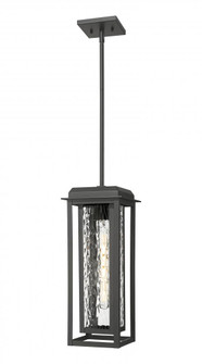 Mansfield - 1 Light - 8 inch - Matte Black - Coastal Outdoor Pendant (3442|9951-1H-BK-19-CG-BK-WG)